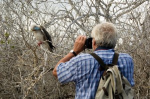 birdwatching