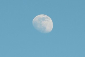 moon